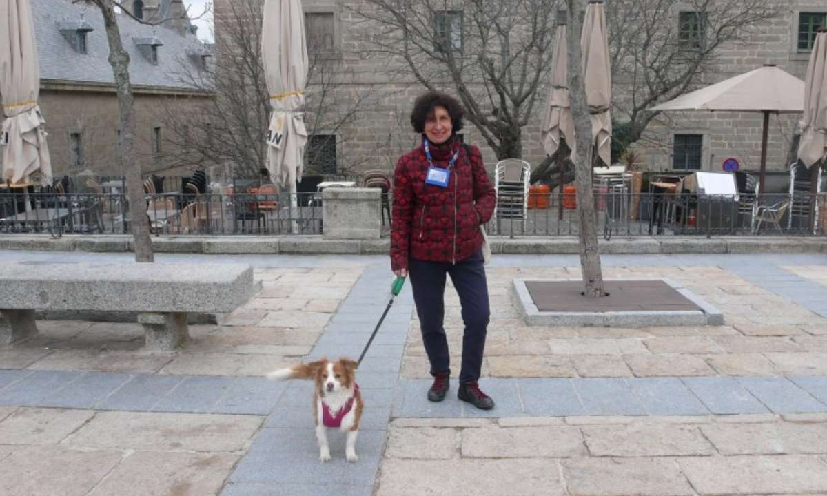 Visita guiada dog Friendly a San Lorenzo de El Escorial